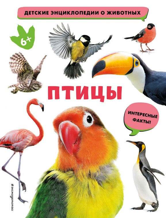 Обложка книги Птицы