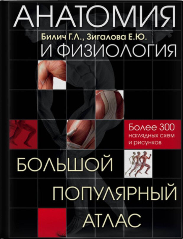 Обложка книги Анатомия и физиология. Большой популярный атлас