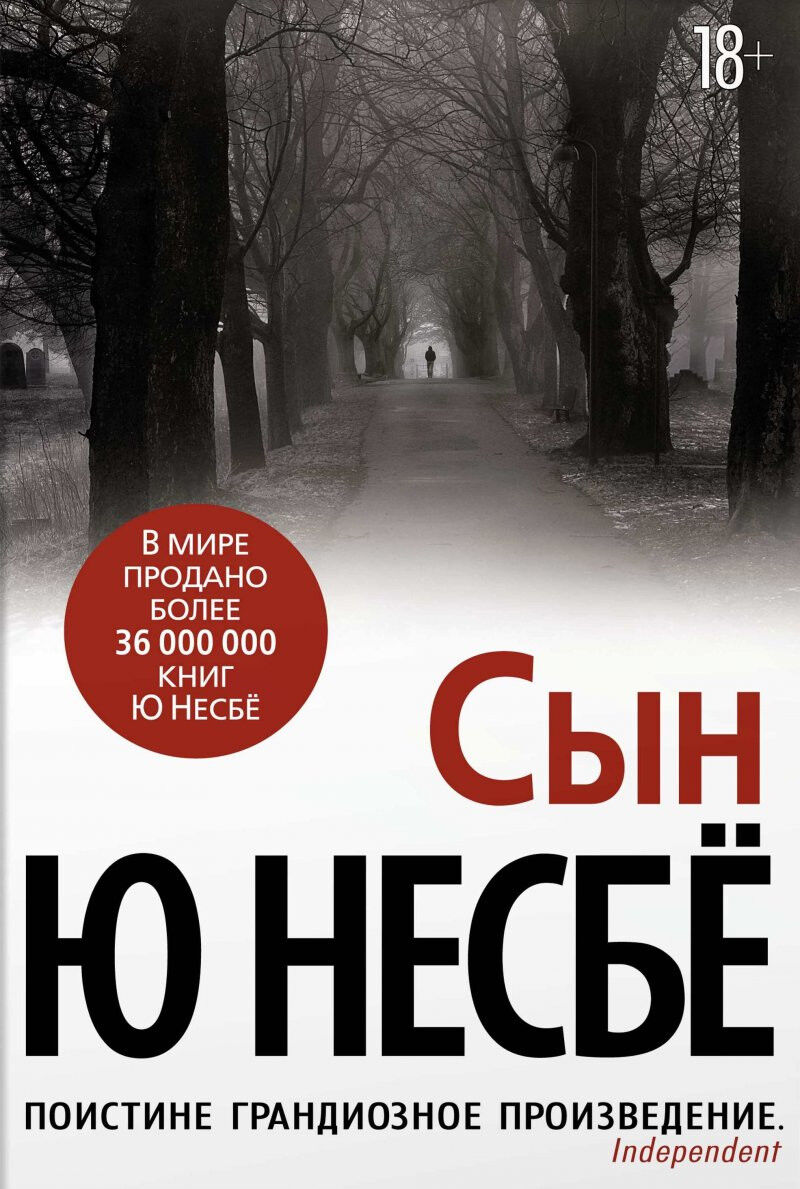 Обложка книги Сын