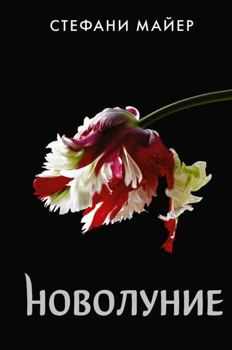 Обложка книги Новолуние