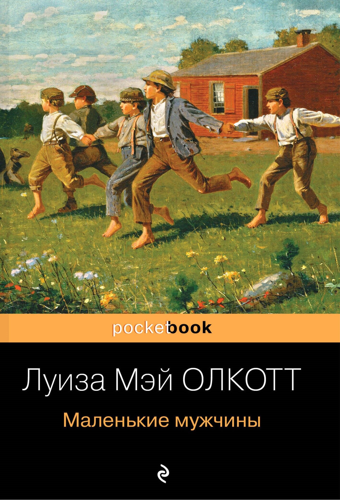 Обложка книги Маленькие мужчины
