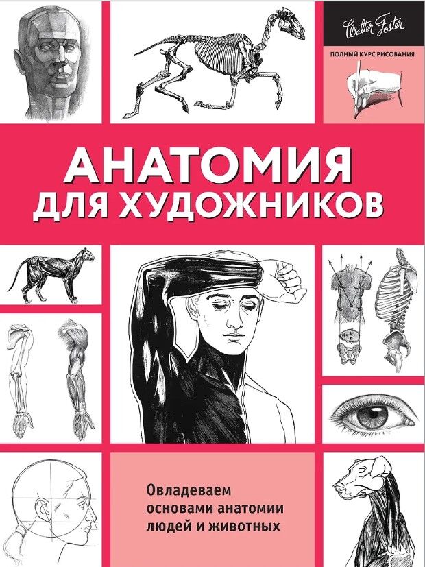 Обложка книги Анатомия для художников. Овладеваем основами анатомии людей и животных
